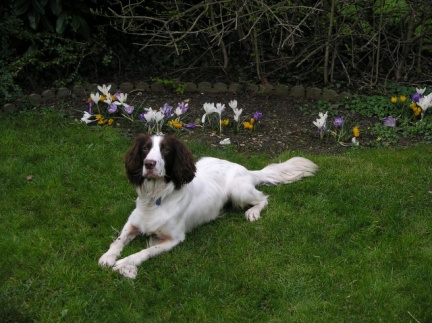 Good looking that s me